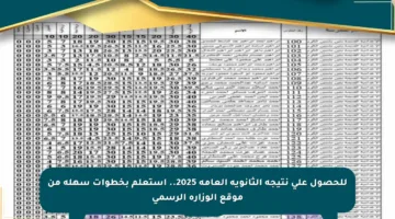 للحصول على نتيجة الثانوية العامة 2025.. استعلم بخطوات سهلة من موقع الوزارة الرسمي